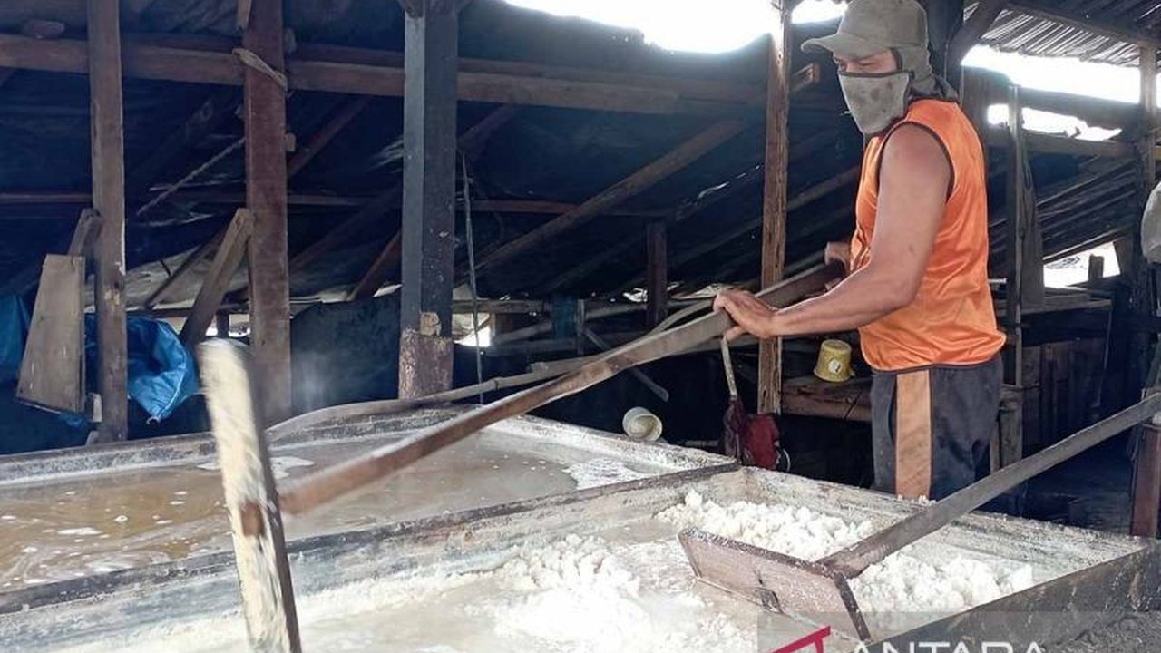Pemerintah Aceh menargetkan produksi garam 10.800 ton pada 2025, meningkat dari tahun sebelumnya, namun masih jauh dari angka kebutuhan 46.000 ton yang didominasi kebutuhan industri.