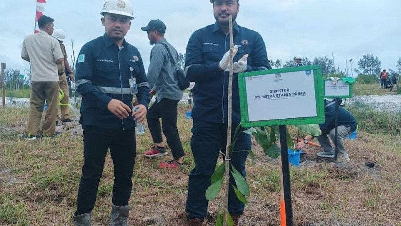 Arsari Tambang berkomitmen reboisasi 709 hektar lahan bekas tambang di Bangka Belitung, selaras dengan visi pemerintah untuk ekonomi hijau dan berkelanjutan.