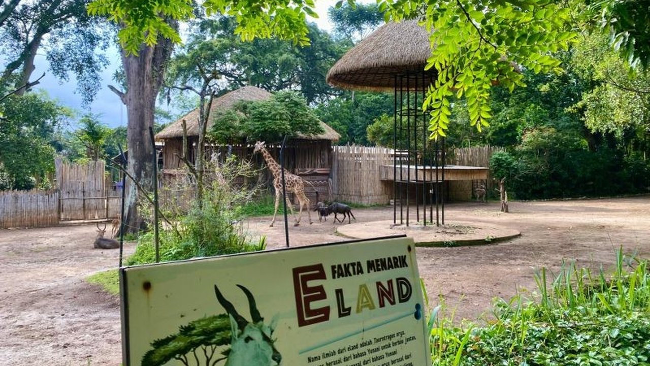 Bandung Zoo: Korban Kriminalisasi atau Pelanggar Hukum? Kuasa Hukum Buka Suara