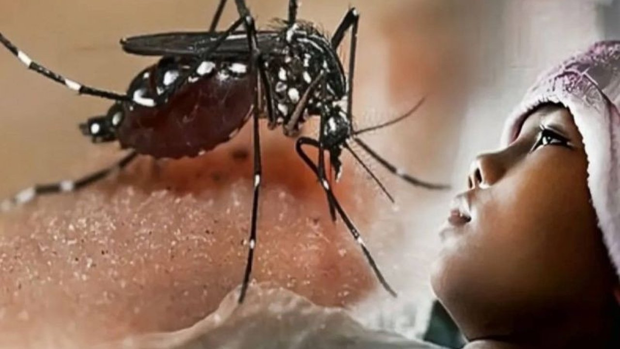 Dinas Kesehatan Kota Bandarlampung melaporkan 67 kasus Demam Berdarah Dengue (DBD) dari Januari hingga Februari 2025, meningkat signifikan dibandingkan tahun lalu, dan menggencarkan langkah preventif dengan fogging dan edukasi 3M kepada warga.