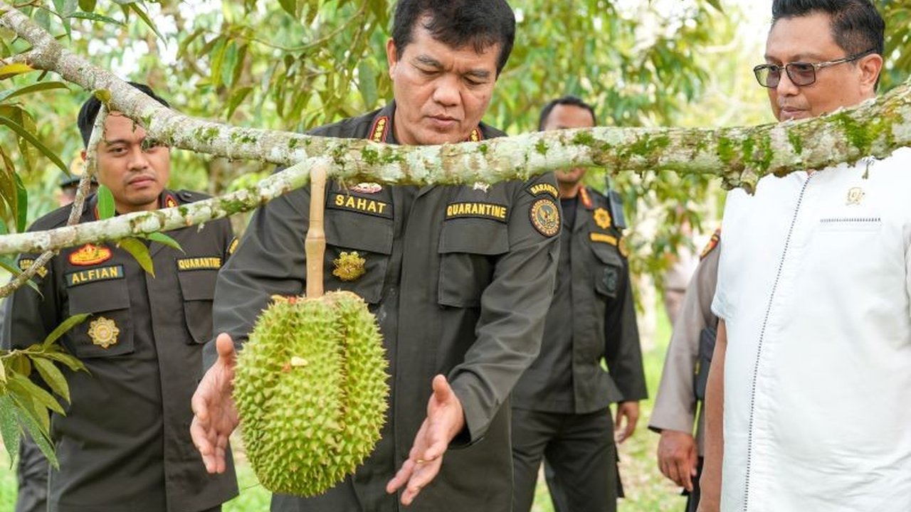 Badan Karantina Indonesia (Barantin) memastikan Sulawesi Tengah telah memenuhi semua persyaratan ekspor durian ke China, termasuk traceability dan pelatihan petani, untuk mendukung kemandirian pangan dan kesejahteraan masyarakat.