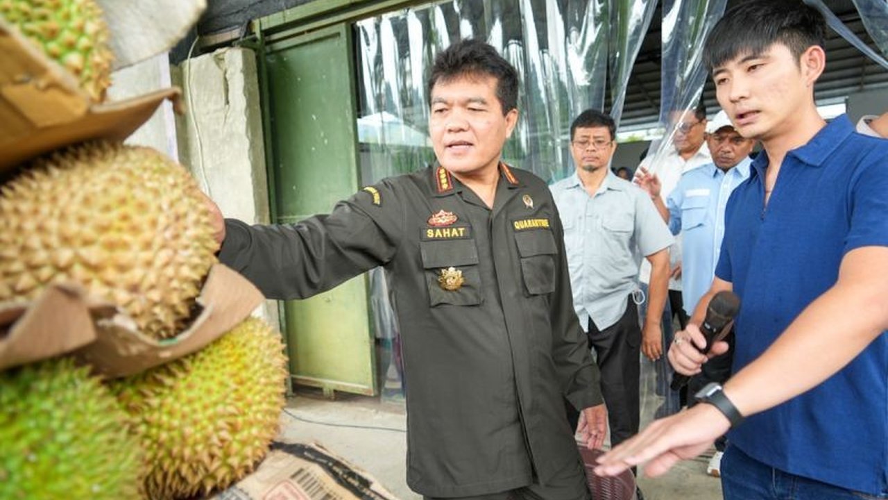 Kepala Badan Karantina Indonesia (Barantin) meninjau langsung kualitas dan pengemasan durian di Parigi Moutong, Sulteng, untuk memastikan standar ekspor ke China terpenuhi dan mendukung program 'Go Ekspor'.