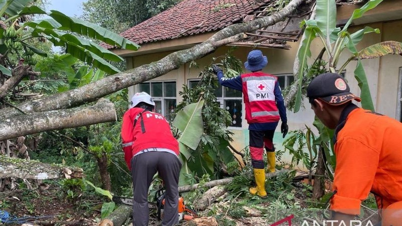 Badan Penanggulangan Bencana Daerah (BPBD) Kabupaten Cianjur meningkatkan pengawasan dan kesiagaan bencana alam menyusul tingginya curah hujan yang berpotensi menyebabkan banjir, longsor, dan pohon tumbang.