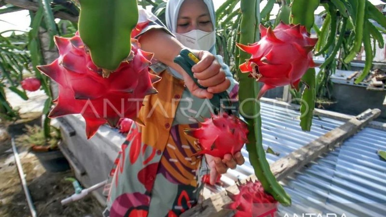 Pemerintah memastikan dana desa Aceh sebesar Rp4,73 triliun tetap dialokasikan sesuai rencana dan tidak terdampak kebijakan efisiensi anggaran nasional tahun 2025.