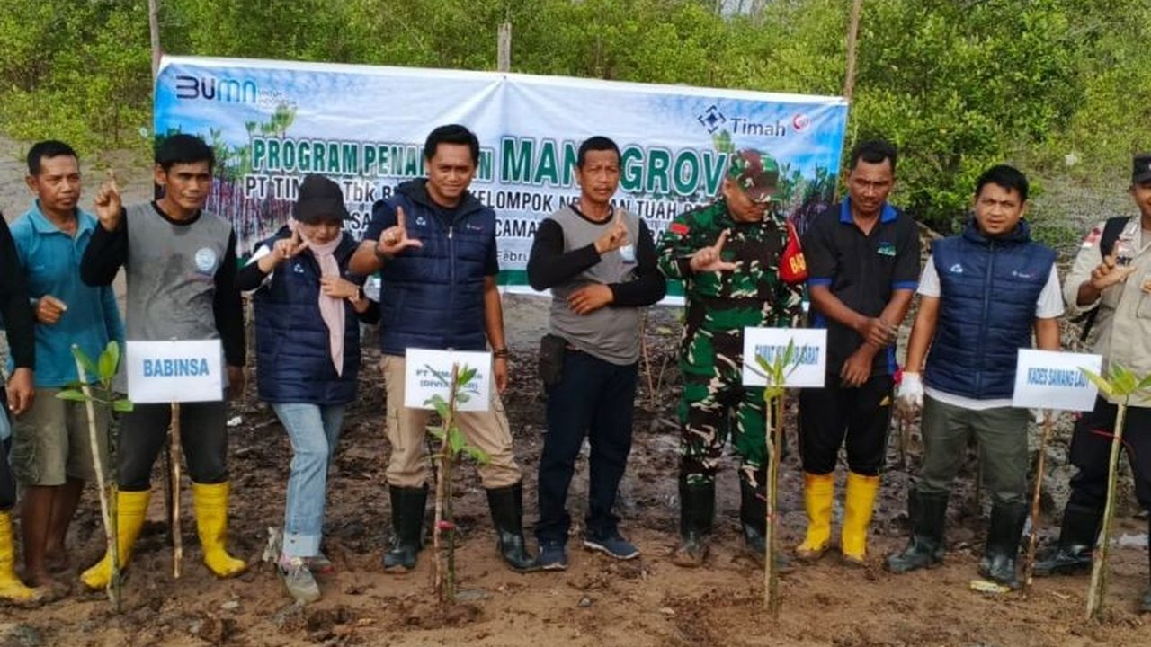 PT Timah kembali menunjukkan komitmen pelestarian lingkungan dengan menanam 3.000 bibit mangrove di Pantai Sawang Laut, Kepulauan Riau, berkolaborasi dengan berbagai pihak untuk menjaga ekosistem pesisir dan kesejahteraan masyarakat.