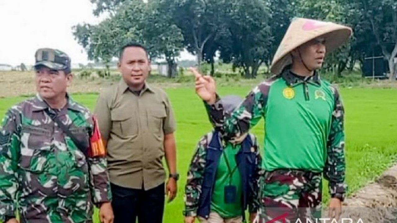 TNI di Situbondo mengawal penetapan Harga Pembelian Pemerintah (HPP) gabah kering panen (GKP) Rp6.500/kg untuk melindungi petani dan mempercepat swasembada pangan.
