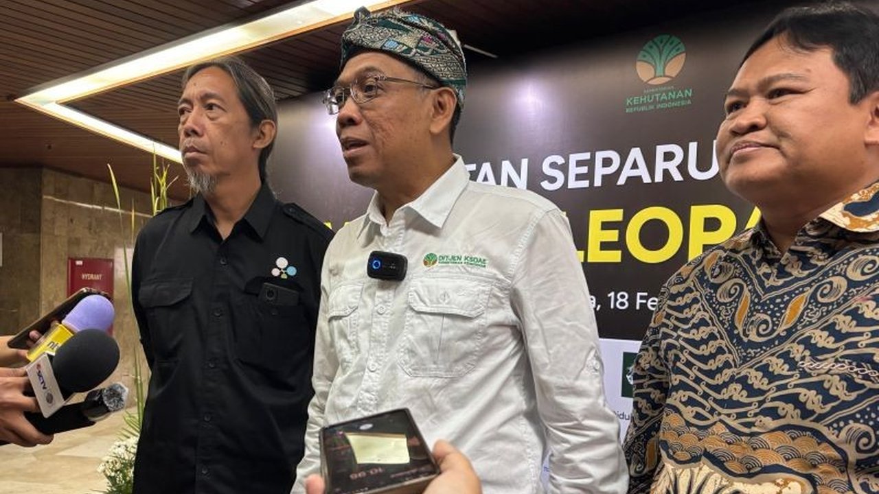 Kementerian Kehutanan Indonesia sedang mengembangkan strategi konservasi untuk macan tutul Jawa (Panthera pardus melas), termasuk pemanfaatan kawasan konservasi di luar kawasan lindung, guna menyelamatkan populasi yang terancam punah.