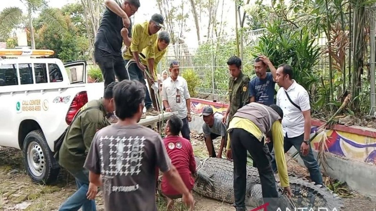BKSDA Kalimantan Selatan berhasil mengevakuasi sejumlah satwa dilindungi dari Kebun Binatang Mini Banjarmasin karena kebun binatang tersebut tidak memenuhi persyaratan luas lahan minimal untuk konservasi.