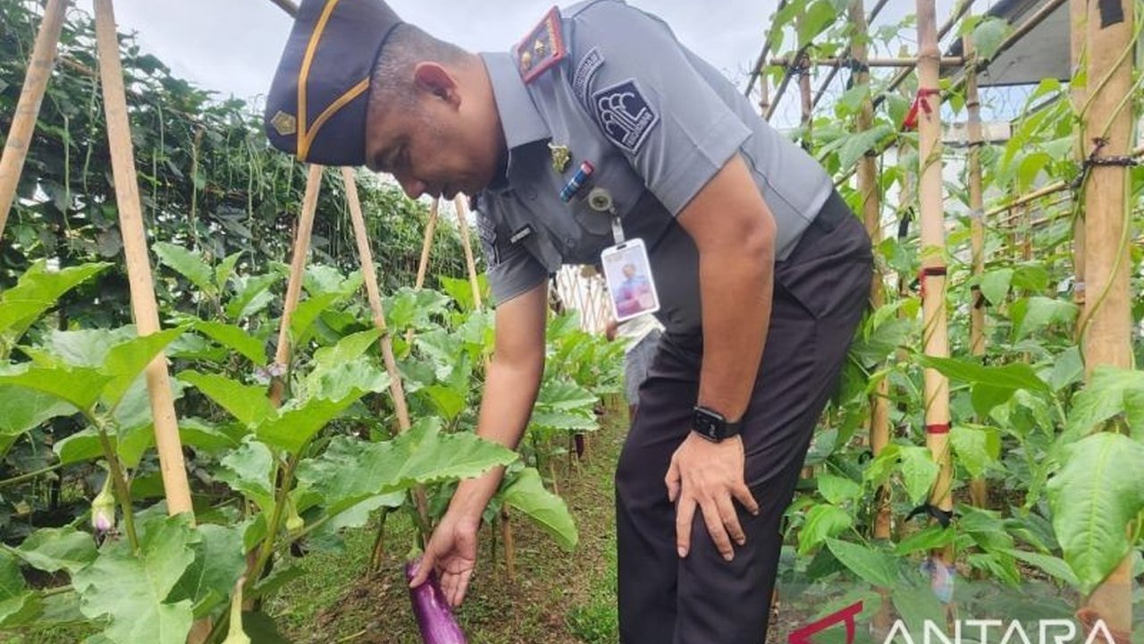 Lembaga Pemasyarakatan Kelas IIB Pohuwato membagikan hasil panen sayuran dari program kemandirian warga binaan kepada masyarakat sekitar, sebagai bentuk kontribusi terhadap ketahanan pangan lokal dan pembinaan keterampilan.