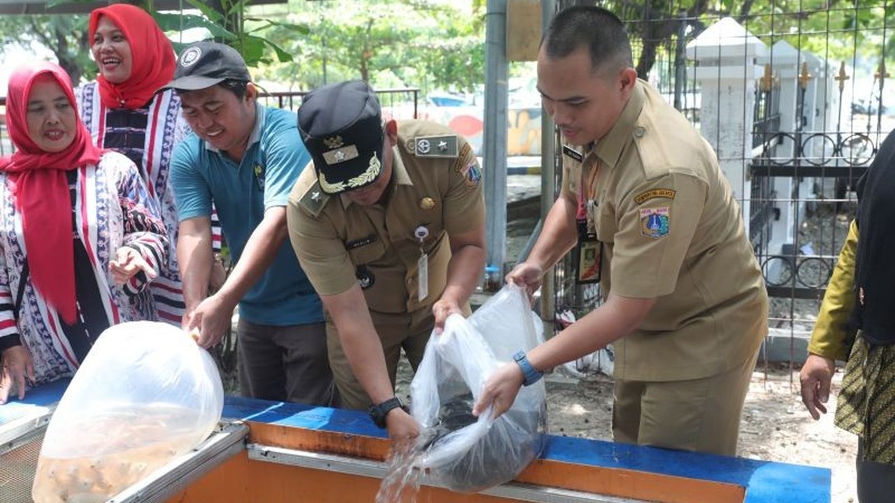 500 Bibit Ikan Nila untuk Edukasi Gizi di Pulau Kelapa