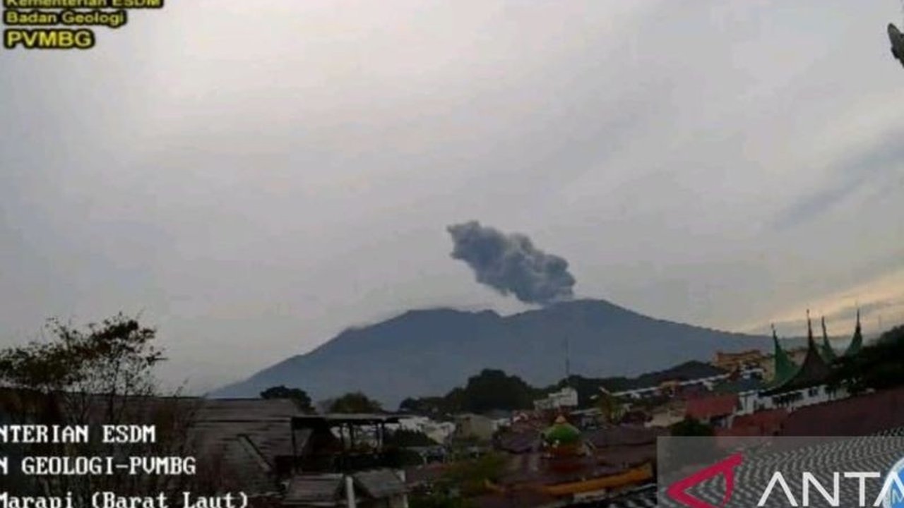 Gunung Marapi di Sumatera Barat kembali erupsi pada Rabu pagi, 19 Februari, melontarkan abu vulkanik setinggi 700 meter dan menyebabkan hujan abu di beberapa daerah sekitar,  sementara status gunung masih waspada level II.