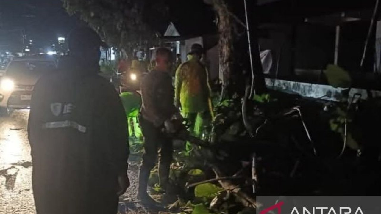 Badan Penanggulangan Bencana Daerah (BPBD) Kota Padang menyediakan berbagai kanal pelaporan bencana selama 24 jam, termasuk call center 112, untuk menghadapi cuaca ekstrem dan potensi pohon tumbang.