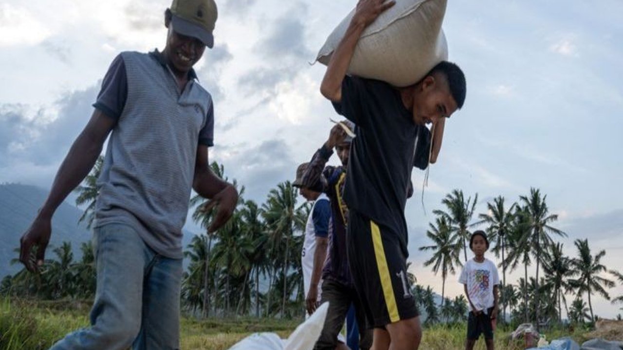 Bulog Sulteng Lampaui Target Serapan Beras Lokal Februari 2025