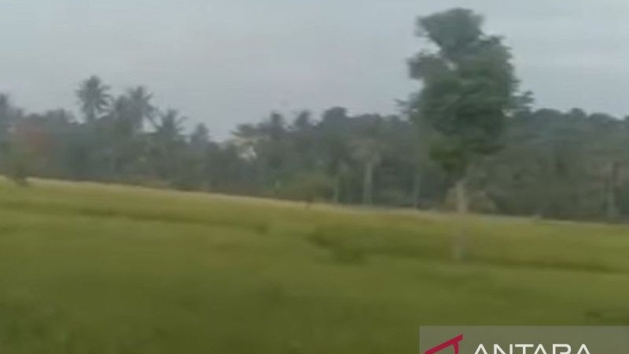 Mekanisme pembelian pupuk subsidi di Kabupaten Sukabumi tahun 2025 akan disederhanakan; petani cukup membawa e-KTP untuk mengakses pupuk bersubsidi melalui kios resmi.