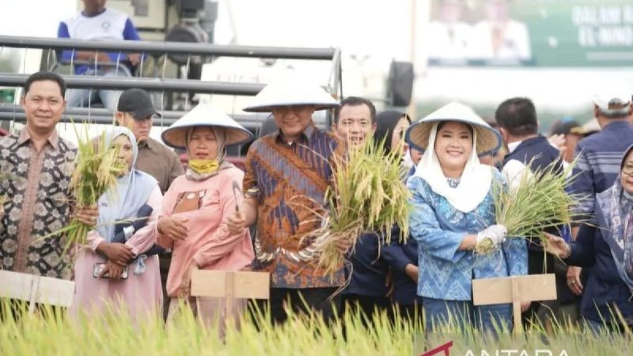 Pemerintah Kabupaten OKU Timur, Sumatera Selatan, menargetkan cetak sawah baru seluas 11 ribu hektare pada tahun ini untuk meningkatkan produktivitas pertanian dan mencapai target satu juta ton GKP pada 2025.