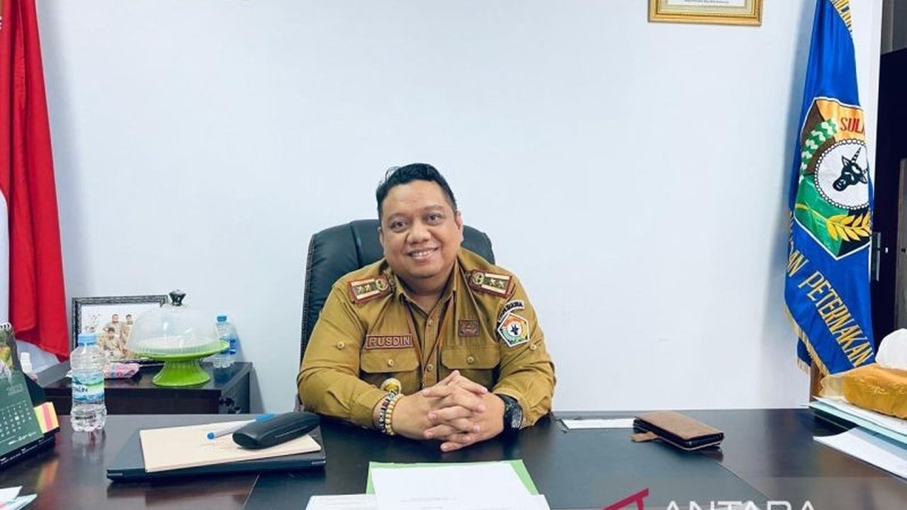 15.300 Dosis Vaksin PMK Tiba di Sulawesi Tenggara, Distribusi Dimulai!