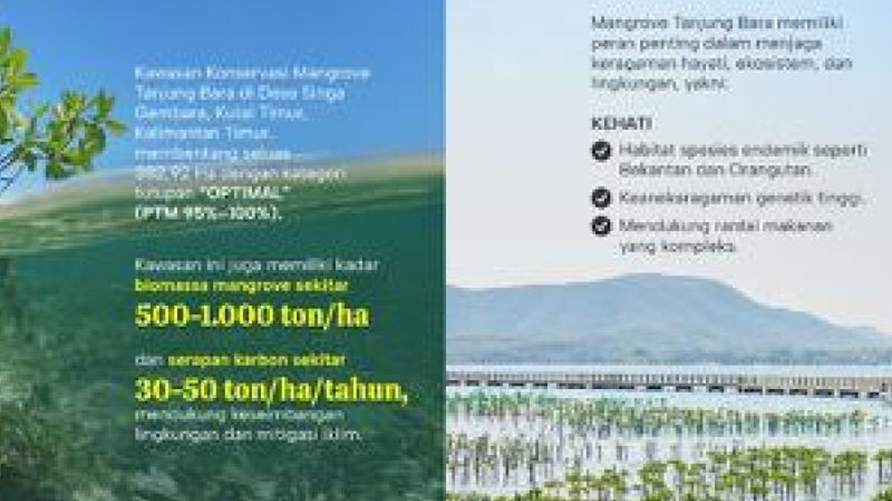 PT Kaltim Prima Coal (KPC) berkomitmen menjaga keanekaragaman hayati di kawasan mangrove Tanjung Bara, Kalimantan Timur, sebagai bagian dari praktik pertambangan yang bertanggung jawab.