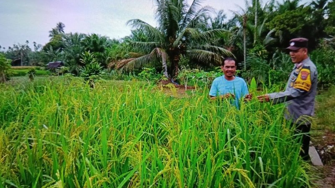 Pasaman Barat, Sumatera Barat, memiliki cadangan beras 41 ton di Bulog untuk mengantisipasi kelangkaan pangan dan bencana alam, serta ketersediaan bahan pangan pokok lainnya menjelang Ramadhan dan Idul Fitri.