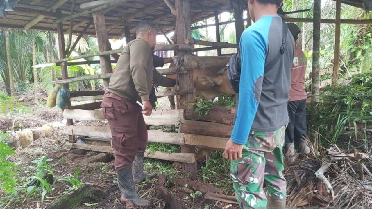 Pemerintah Kabupaten Tanjung Jabung Timur menerima 500 dosis vaksin PMK dari Kementan untuk mencegah penyebaran penyakit mulut dan kuku pada hewan ternak di enam kecamatan.