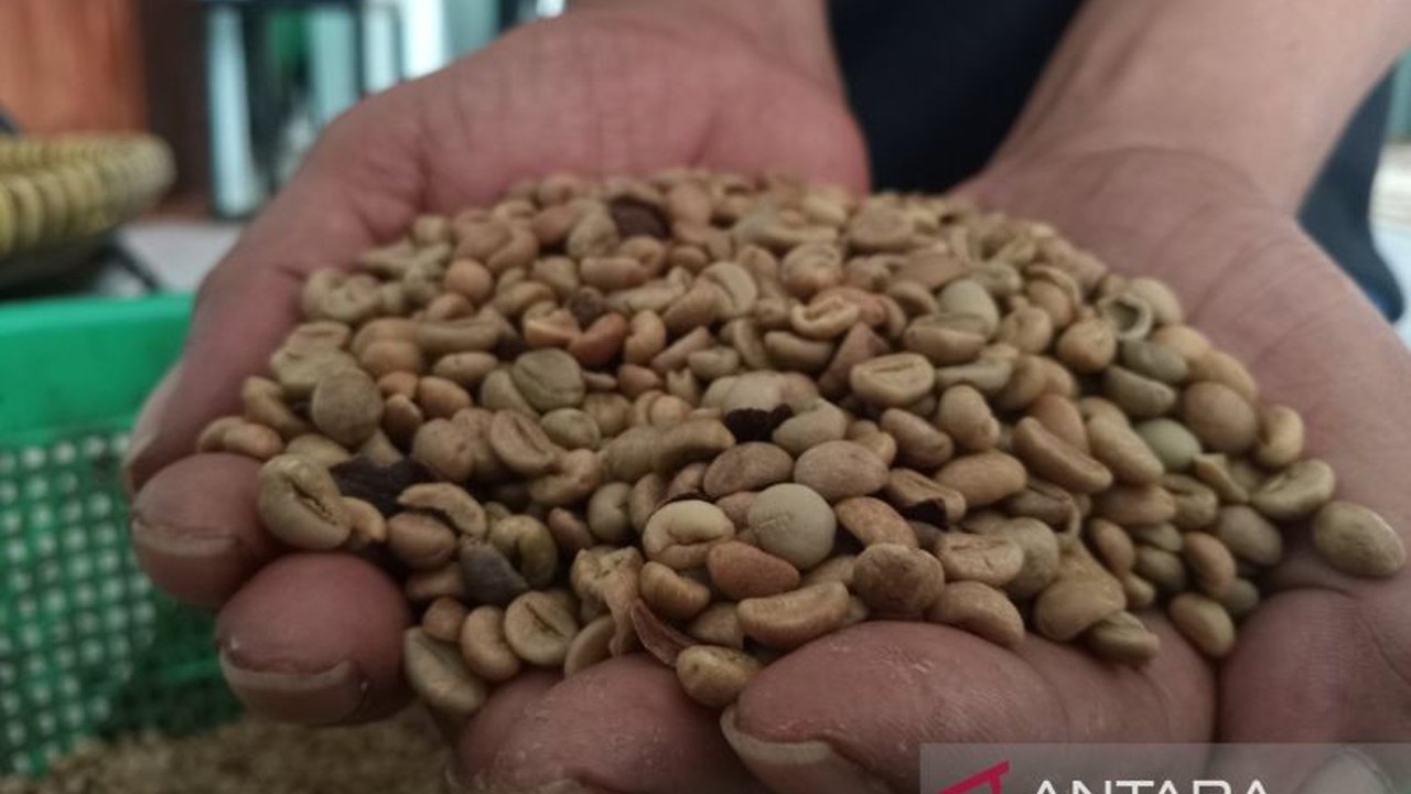 Produksi Kopi Kuningan Tembus 775,8 Ton di 2024, Ekspor hingga Label IG Jadi Kunci Sukses