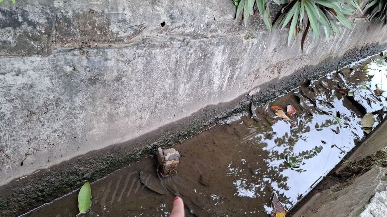 Pemprov Lampung Keluarkan Surat Edaran Waspadai Lonjakan Kasus DBD