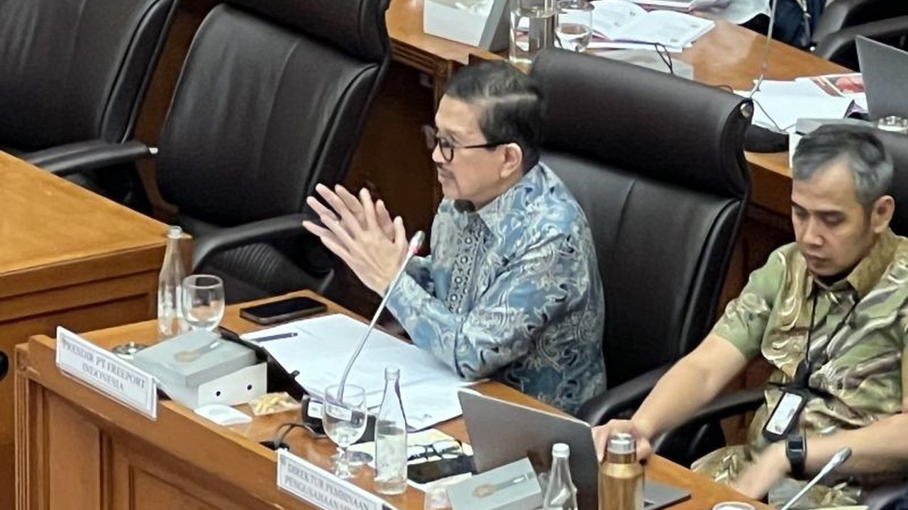 Penghentian ekspor konsentrat Freeport akibat insiden kebakaran smelter Gresik berpotensi mengurangi pendapatan negara hingga Rp65 triliun dan berdampak signifikan pada perekonomian daerah Papua.