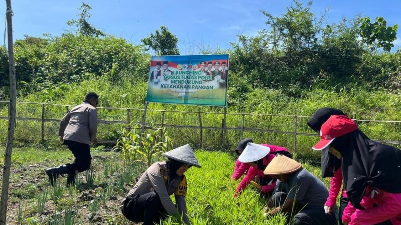 Kepolisian Daerah Maluku Utara (Polda Malut) menginisiasi program pemanfaatan lahan tidur untuk pertanian di berbagai polres dan polsek, mendukung ketahanan pangan nasional dan menginspirasi masyarakat.
