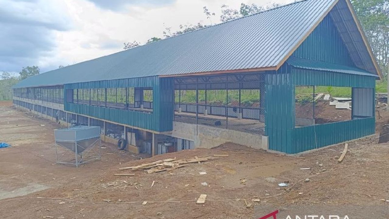 PT Tapanuli Selatan Membangun (TSM) berupaya tingkatkan ketahanan pangan di Tapsel dengan meningkatkan produksi telur ayam hingga 10,5 juta kg per tahun, sekaligus memberdayakan petani jagung lokal.