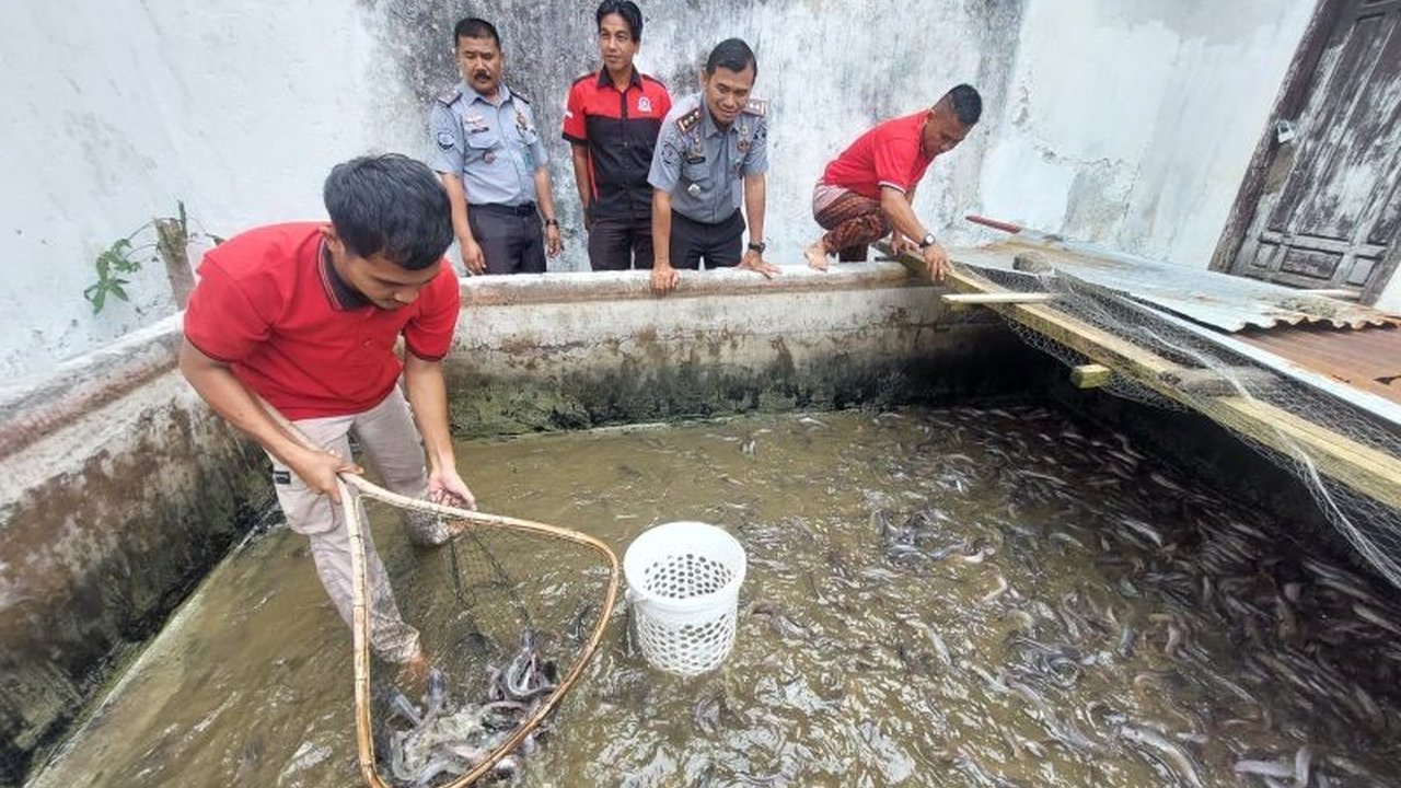 Rutan Kelas IIB Lubuk Sikaping sukses panen lele 173 kg, hasil budidaya warga binaan yang juga mendukung program ketahanan pangan nasional.