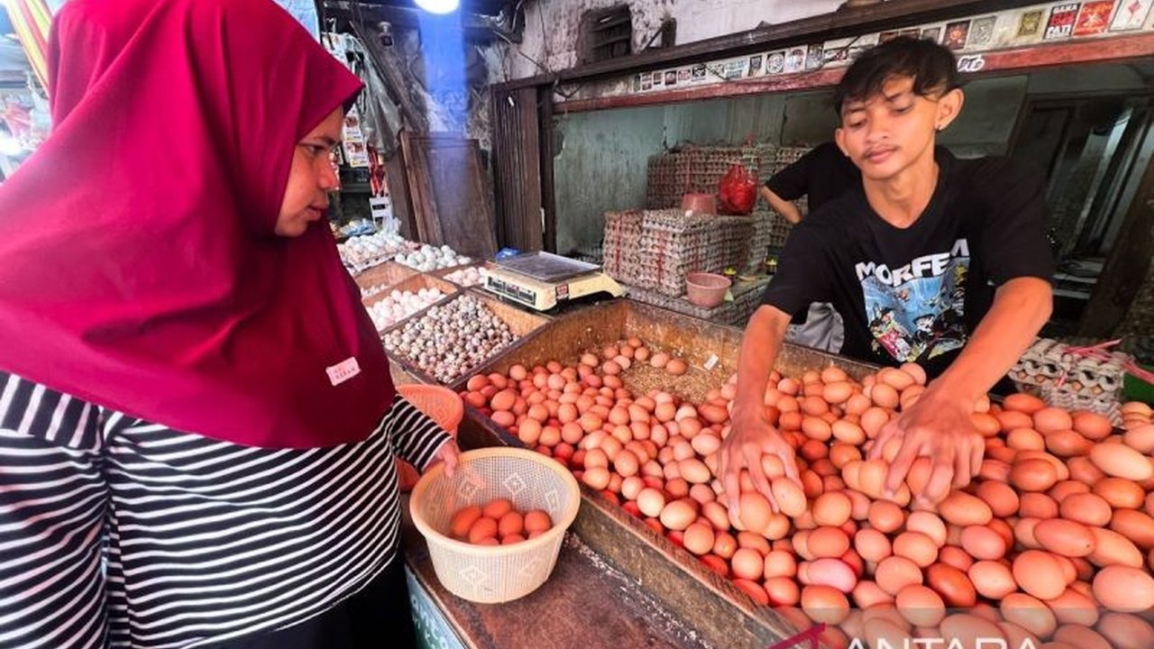 PIHPS mencatat harga telur ayam dan bawang merah di tingkat pedagang eceran nasional melambung tinggi pada Kamis pagi, sementara komoditas pangan lainnya juga mengalami fluktuasi harga.