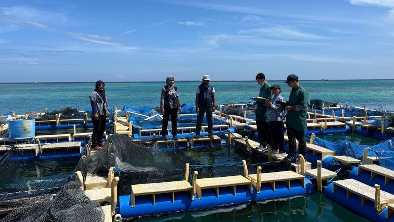 Suku Dinas KPKP Kepulauan Seribu melakukan pengawasan ketat untuk mencegah penyebaran hama dan penyakit ikan di tujuh Pokdakan, guna menjaga kesehatan ikan dan keberhasilan produksi budidaya.