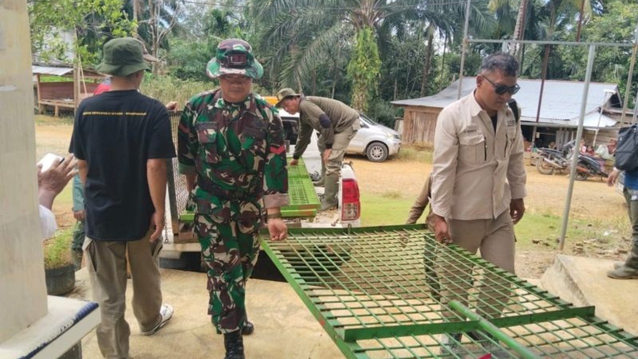 Balai Konservasi Sumber Daya Alam (BKSDA) Bengkulu memasang dua perangkap untuk mengantisipasi konflik antara harimau Sumatera dengan warga di Desa Semambang Makmur, Mukomuko, setelah ditemukan jejak harimau di dekat pemukiman.