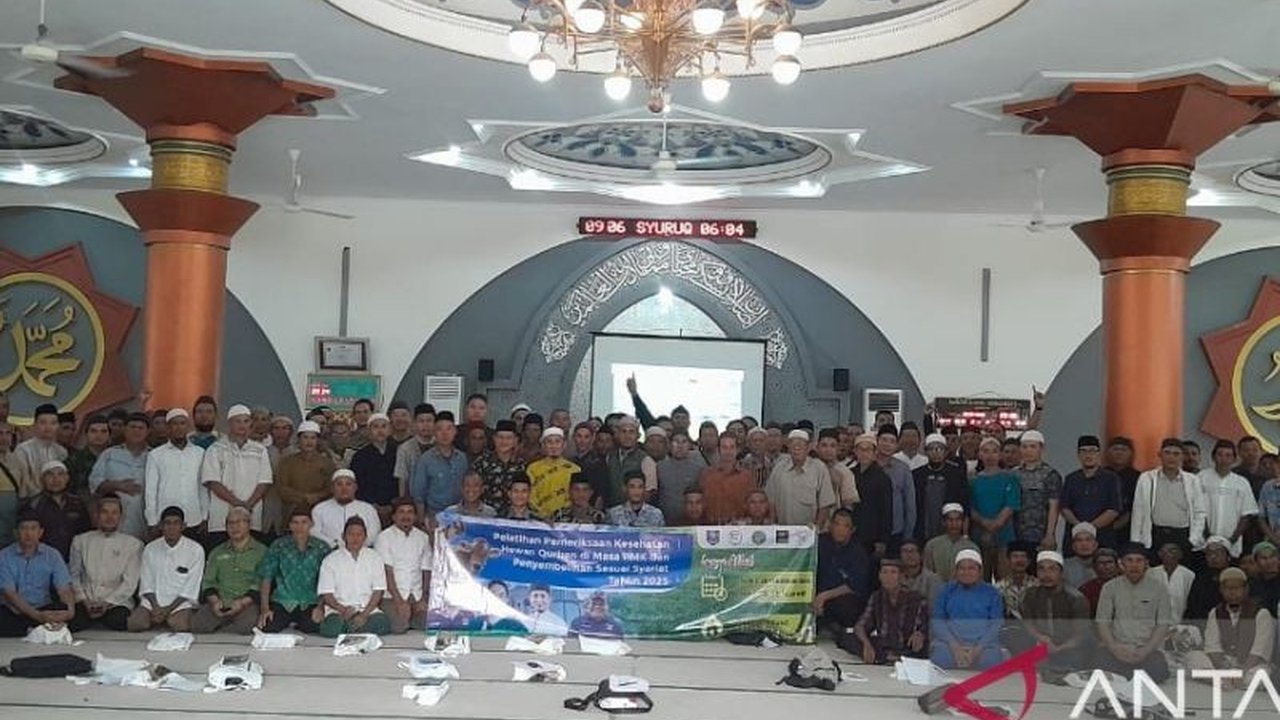 Dinas Pertanian Babel menggelar pelatihan bagi ratusan petugas pemeriksa hewan kurban dan pengurus masjid di Bangka untuk mencegah penyebaran PMK dan menjamin keamanan konsumsi daging kurban Idul Adha.