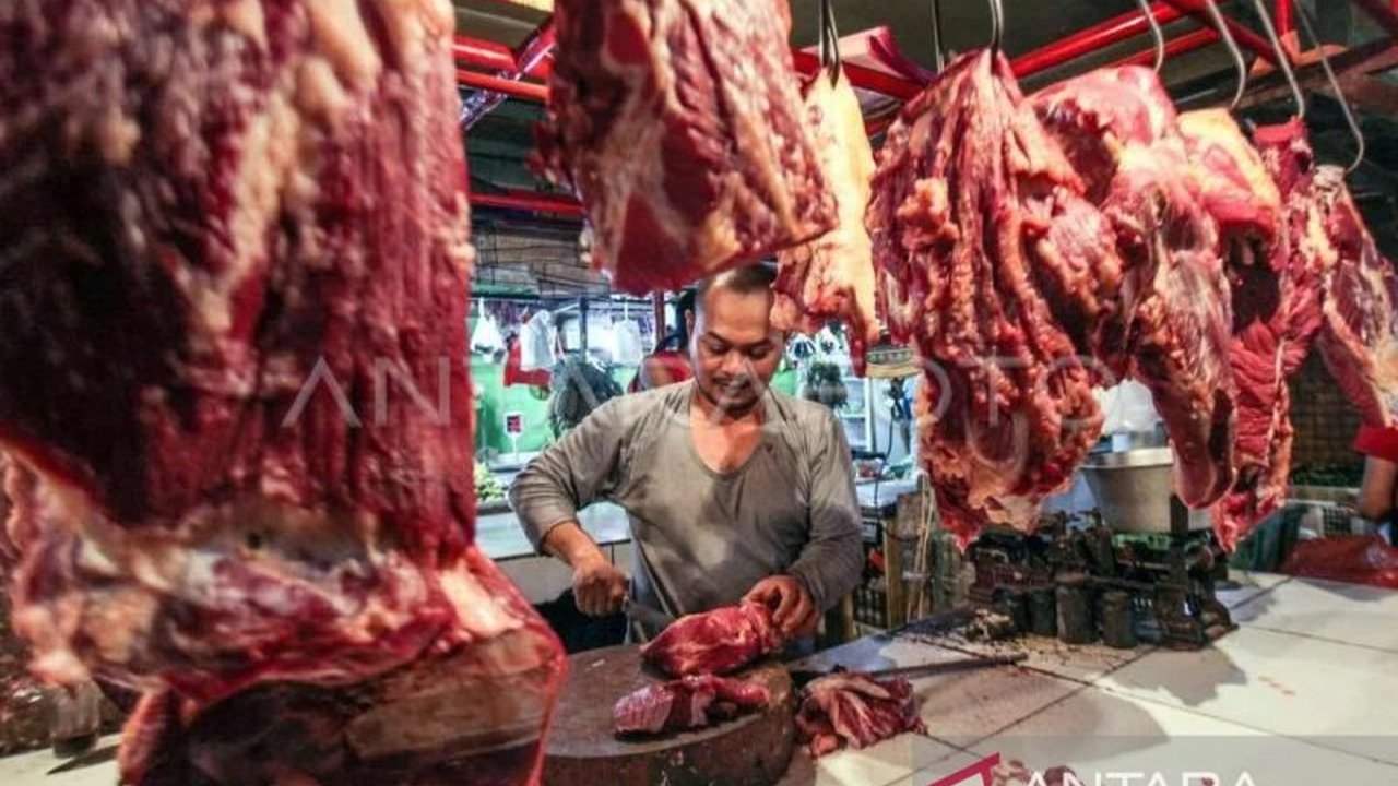 Persediaan 733 ekor sapi dan kerbau untuk tradisi meugang di Banda Aceh diprediksi cukup, meskipun harga daging diperkirakan naik hingga Rp200.000 per kg.