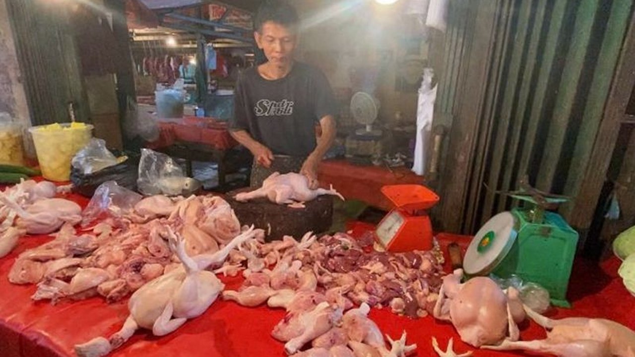 Jelang Ramadhan, harga ayam potong di Bengkulu turun drastis menjadi Rp30.000 per kilogram akibat stok melimpah, sementara harga telur ayam ras cenderung stabil.
