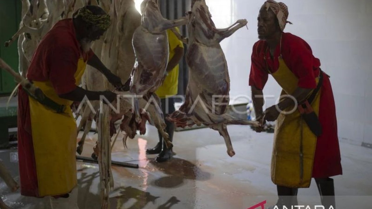 BP Haji melihat potensi peningkatan ekonomi Indonesia melalui penyembelihan hewan dam dan kurban haji di dalam negeri, didukung oleh fatwa yang memperbolehkan praktik tersebut di luar Tanah Suci.