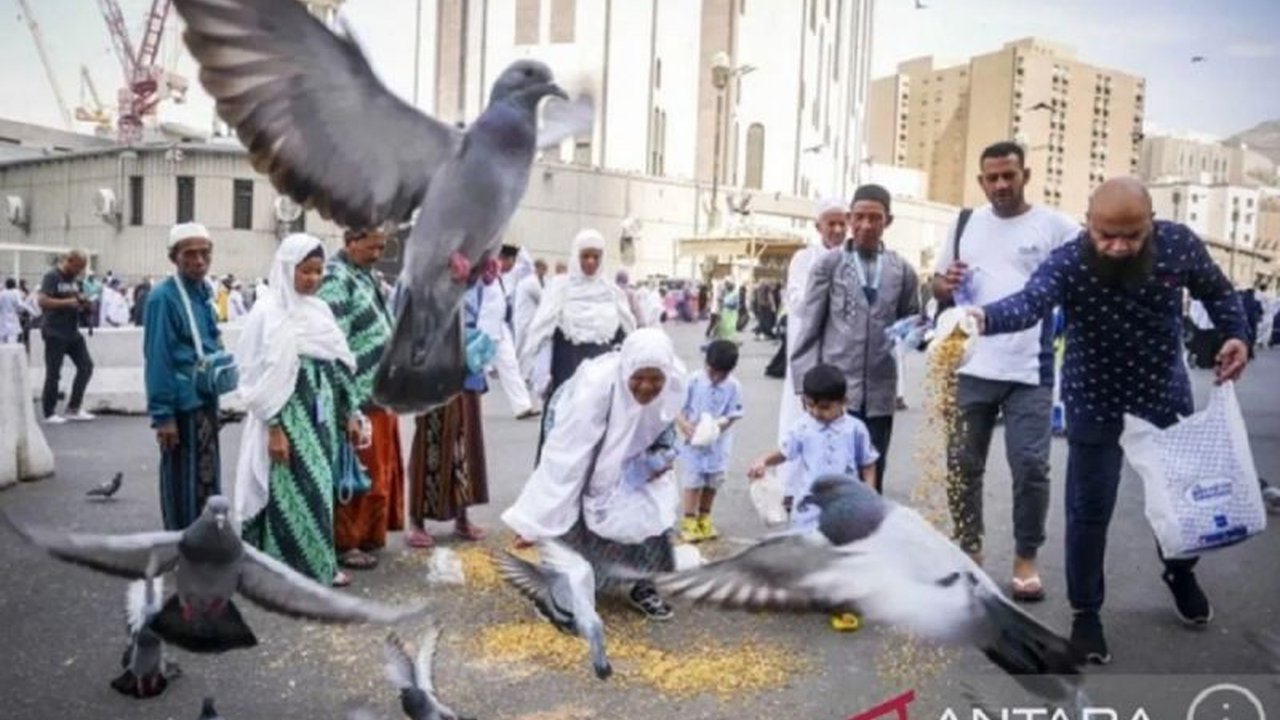 Kampung Haji: Harapan Baru Turunkan Biaya Haji 2025
