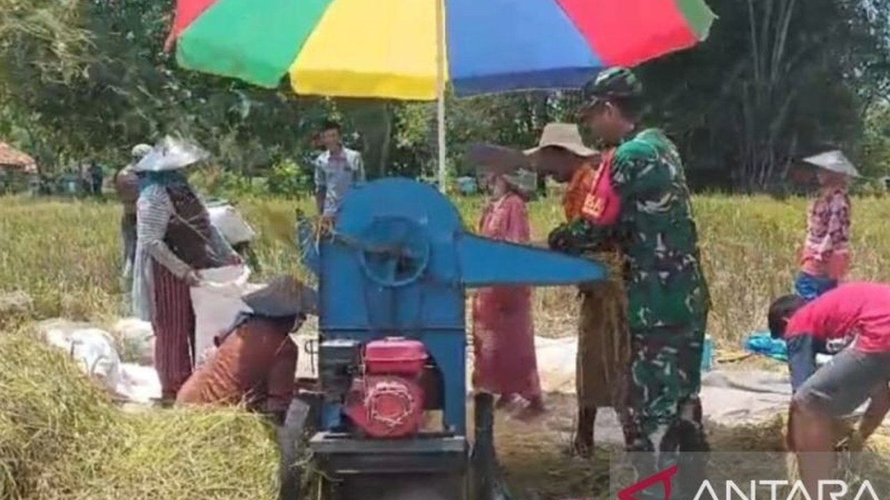 Kodim 0829 Bangkalan mendampingi petani secara intensif untuk mencapai swasembada pangan, sesuai arahan Presiden Prabowo Subianto, dengan melibatkan 273 Babinsa.