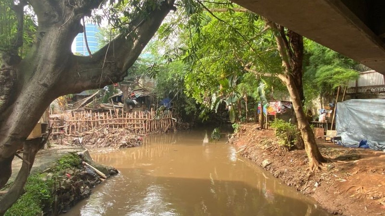 Wagub Rano Karno Pertimbangkan Bangun Rusun di Kali Krukut untuk Atasi Banjir