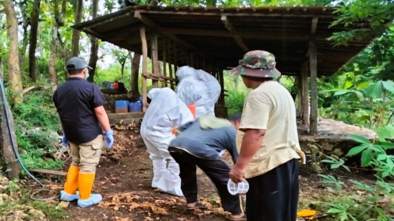 DPKH Gunungkidul memastikan tidak ada perkembangan kasus antraks setelah ditemukannya kasus positif di Kelurahan Tileng, langkah antisipasi telah dilakukan untuk mencegah penyebaran.