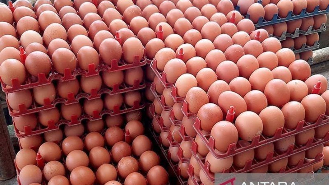 Pemerintah Provinsi Kepulauan Bangka Belitung menambah stok telur ayam 50 ton untuk mengantisipasi lonjakan permintaan selama Ramadhan 2025, sekaligus menekan kenaikan harga.