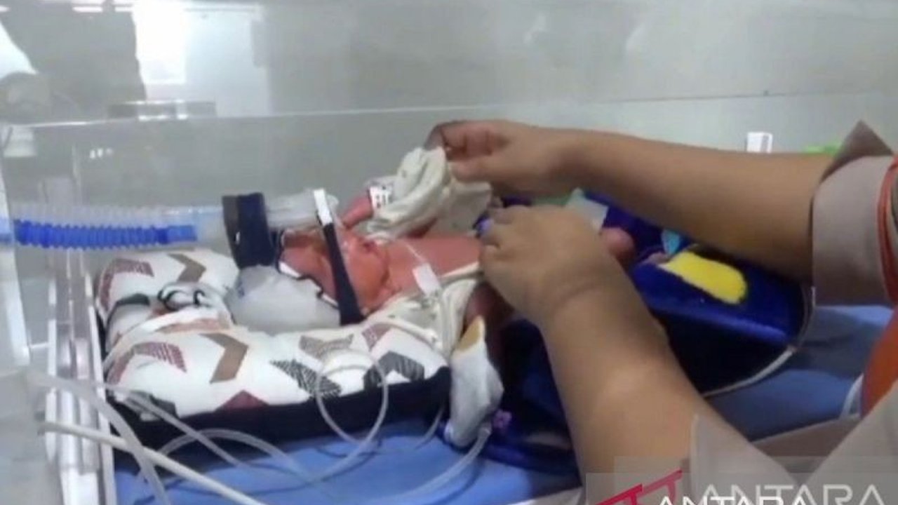 Pasangan di Batanghari, Jambi, dikaruniai bayi kembar empat yang lahir prematur; tiga perempuan dan satu laki-laki, saat ini dalam perawatan intensif.