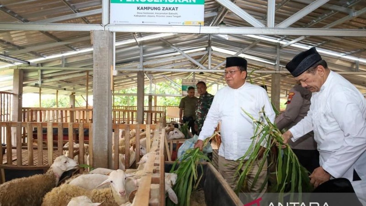 Badan Amil Zakat Nasional (Baznas) memberdayakan mustahik di Jepara melalui program Balai Ternak, bertujuan meningkatkan perekonomian masyarakat melalui beternak domba dan kambing.