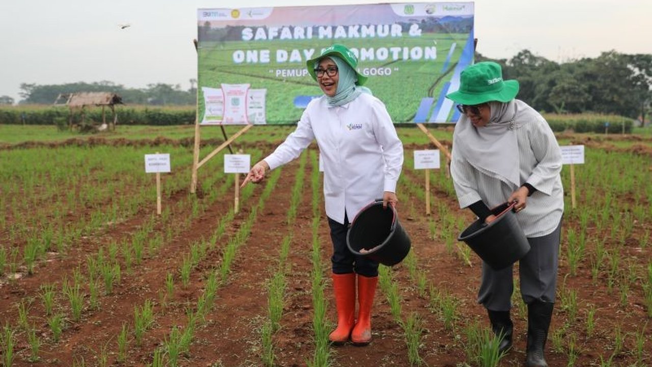 Pupuk Indonesia: Tingkatkan Kesejahteraan Petani Lewat Program Makmur