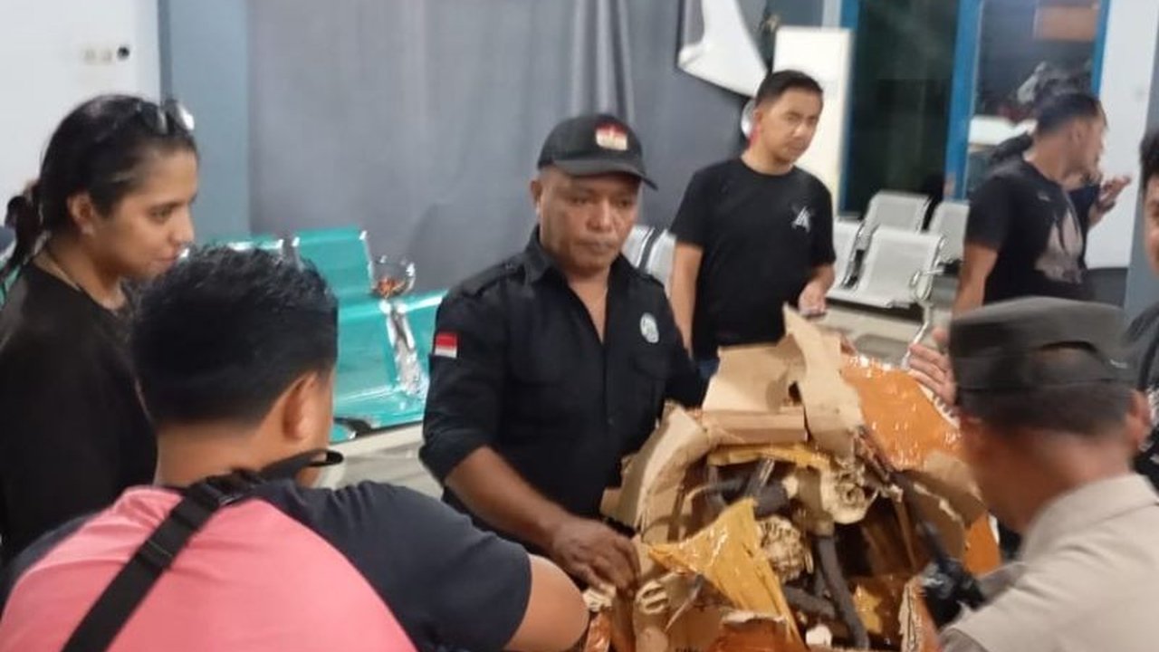 Tiga opsetan tanduk rusa berhasil diamankan BKSDA Maluku di Pelabuhan Yos Sudarso Ambon, yang hendak diselundupkan ke Surabaya, dan pemiliknya dikenakan sanksi hukum sesuai UU No.5 Tahun 1990.