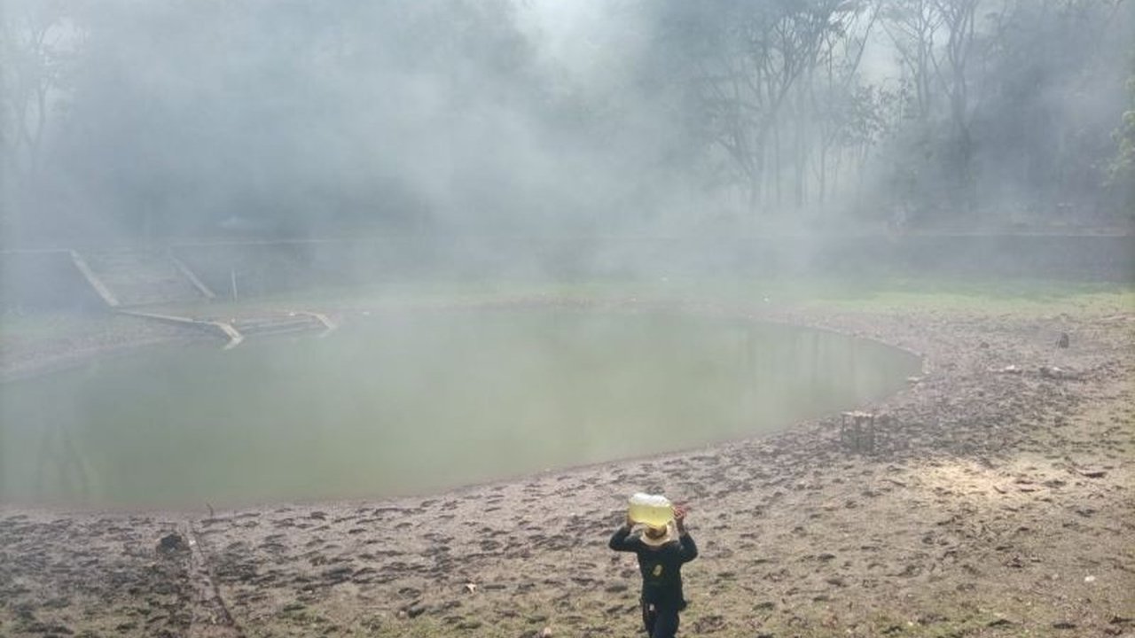 Komunitas Resan Gunungkidul melakukan penanaman pohon di Telaga Jurangjero untuk merevitalisasi sumber air sekaligus melestarikan budaya lokal Wanadesa Girimulyo.