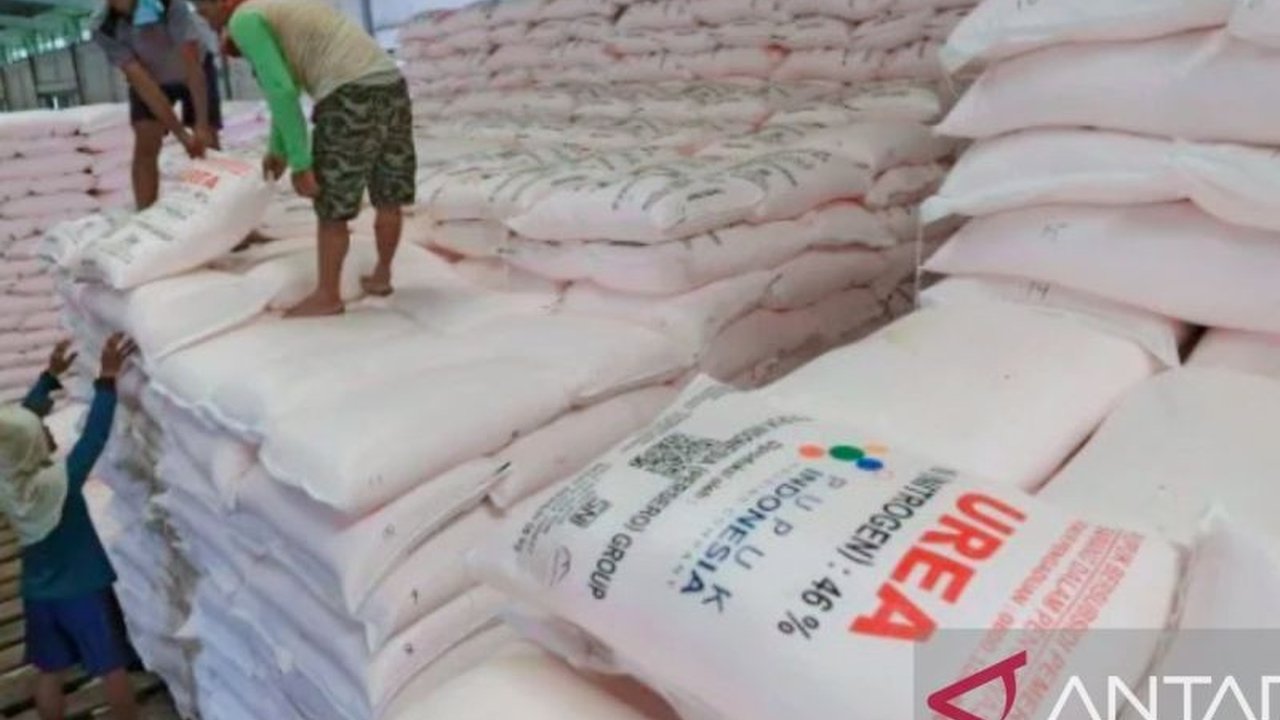 Pupuk Subsidi: Perkuat Ketahanan Pangan, Atasi Penyalahgunaan!