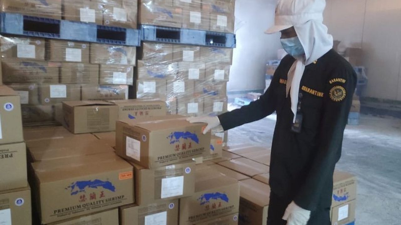 Badan Karantina Hewan Ikan dan Tumbuhan (BKHIT) Maluku memfasilitasi ekspor 1.156 ton udang vaname senilai Rp90,7 miliar ke Cina, memastikan produk tersebut memenuhi standar dan regulasi.