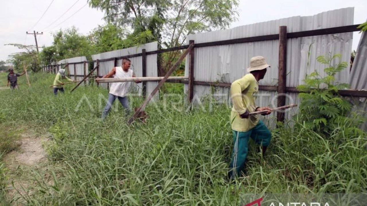 Dinas Lingkungan Hidup dan Kehutanan Sumatera Utara membongkar pagar di kawasan hutan pesisir pantai Desa Regemuk, Deli Serdang seluas 48 hektare untuk pemulihan lingkungan dan mengajak masyarakat membentuk kelompok perhutanan sosial.