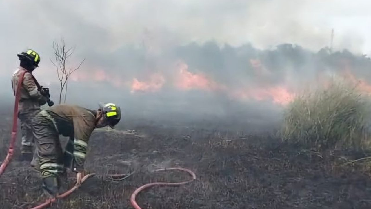 UPTD Damkar Tanjung Uban berhasil memadamkan kebakaran lahan seluas lima hektare di Desa Kuala Sempang, Bintan, Kepri, setelah berjibaku selama kurang lebih lima jam, menimbulkan kekhawatiran akan meluasnya kebakaran ke pemukiman warga.